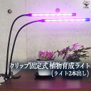 植物育成にかかせない、日光の変わりになる光を出す、植物育成用のLEDライトです。赤と青の光を出すことができます。赤は、光合成を促す効果、青は、葉や実を大きくする効果があります。赤と青を同時に出す(紫色)こともでき、この2つの効果をバランスよく出すことができます。【育成ライトの便利な機能！】・クリップ式なので、自宅やオフィスなどで簡単に取り付けができます。・育成する植物に合わせて、10段階の光度の調節ができます。・3時間、9時間、12時間の3つの時間で設定することができますので、植物の種類や成長段階に合わせた育成が可能です。・ライトのアームは360°自由に動かすことができます。・さらにライトは2本ありますので、お好きな角度、位置に固定しそれぞれ照射することで、光の位置や強さを簡単に調節することができます。・LEDなので省電力！長時間点灯しても、蛍光灯や白熱電球と比べ、消費電力を抑えることができます。【本商品は室内専用のため、防水ではございません。スマホ画面やPC画面の設定などにより、お届け時に掲載画像と少し異なったイメージ・色目になる場合がございます。海外の商品なので、多少の汚れやダメージ等がついている場合がございます】【育成ライトの詳細】サイズ：全長 約64.5cm重量：約560g波長：青色LED 460nm 赤色LED 620-660nm入力電圧：5V、18W電源方式：USBタイマー：3時間、9時間、12時間で設定可能【お読みください】本商品は室内専用のため、防水ではございません。-10℃以下、40℃以上、湿度90％以上のいずれの環境下でも、ご利用はお避け下さい。LEDバー2本同時での点灯・調整となります。それぞれでの設定はできかねます。スマホ画面やPC画面の設定などにより、お届け時に掲載画像と少し異なったイメージ・色目になる場合がございます。海外輸入商品なので、多少の汚れやダメージ等がついている場合がございます。【検索キーワード】園芸用品 用品 グッズ 資材 ライト クリップ式 クリップ 植物育成ライト植物育成 植物組織培養 植物用LED LEDタイマー機能付き タイマー 植物成長促進用 ランプ 家庭菜園 室内園芸 水草栽培 水耕栽培 温室植物 野菜栽培野菜工場 室内 屋内 日照不足解消 低消耗 省エネ 省電力 エコ eco DIY栽培キット 手間いらず 明るい 埋め込み 置き型 吊り下げ おしゃれ オシャレ イタンセ ITANSE