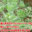 itanse:10001502のサンプル画像3