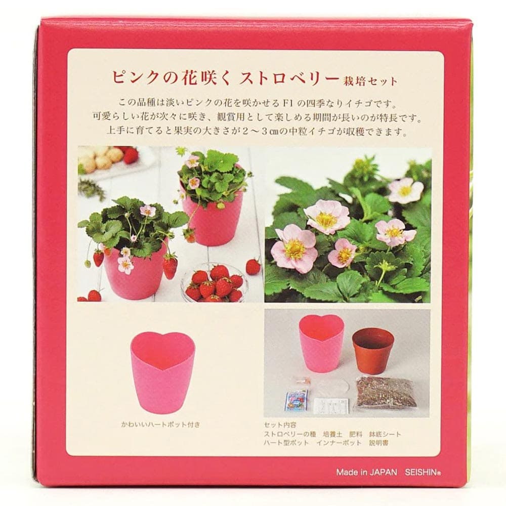 �ڥݥ����UP���ޥ饽����֡ۥԥ󥯤βֺ餯���ȥ��٥꡼���ݥ��å� ���ݥ��å� 1�� �͵��ʤꥤ���� �͵����ꤤ���� ��ñ���ݥ��å� ���å����� ���åȾ��� �����ڱ� �ץ�󥿡� �ݥå� �վ� �ץ쥼��� ���ե� £�� ����� ����� ����ƥꥢ ����ƫ�� ����̵�� ¨Ǽ