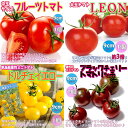 【P2倍★マラソン期間中】人気&絶対オススメのトマト苗4品種各1個セット【野菜苗 9cmポット自根苗 各1個/合計4個】品種:フルーツトマト(中玉)・レオン・ド...