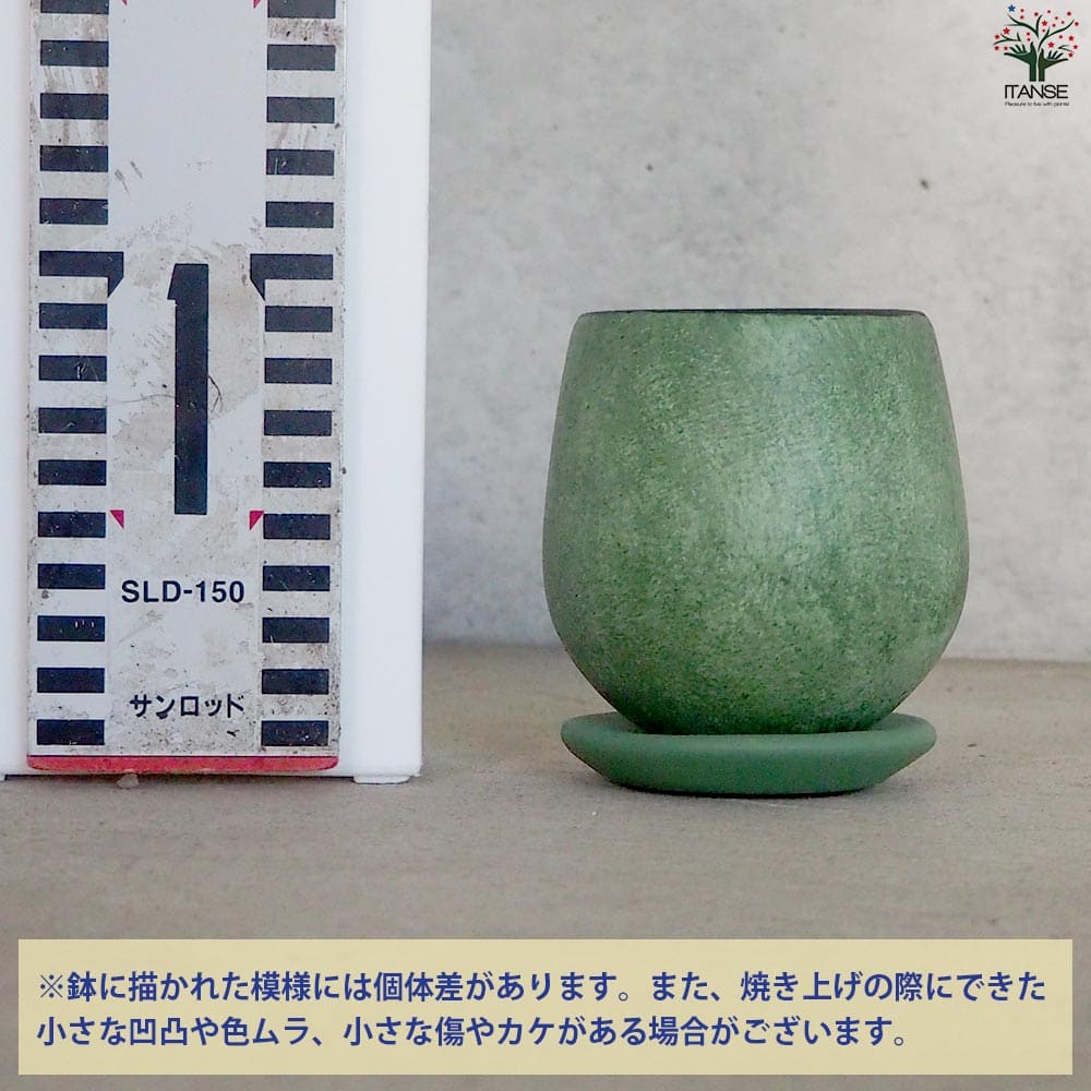 【送料無料】皿付陶器鉢 彩色焼磁 グリーン 資材 8cm 植木鉢 鉢 鉢植え プランター...