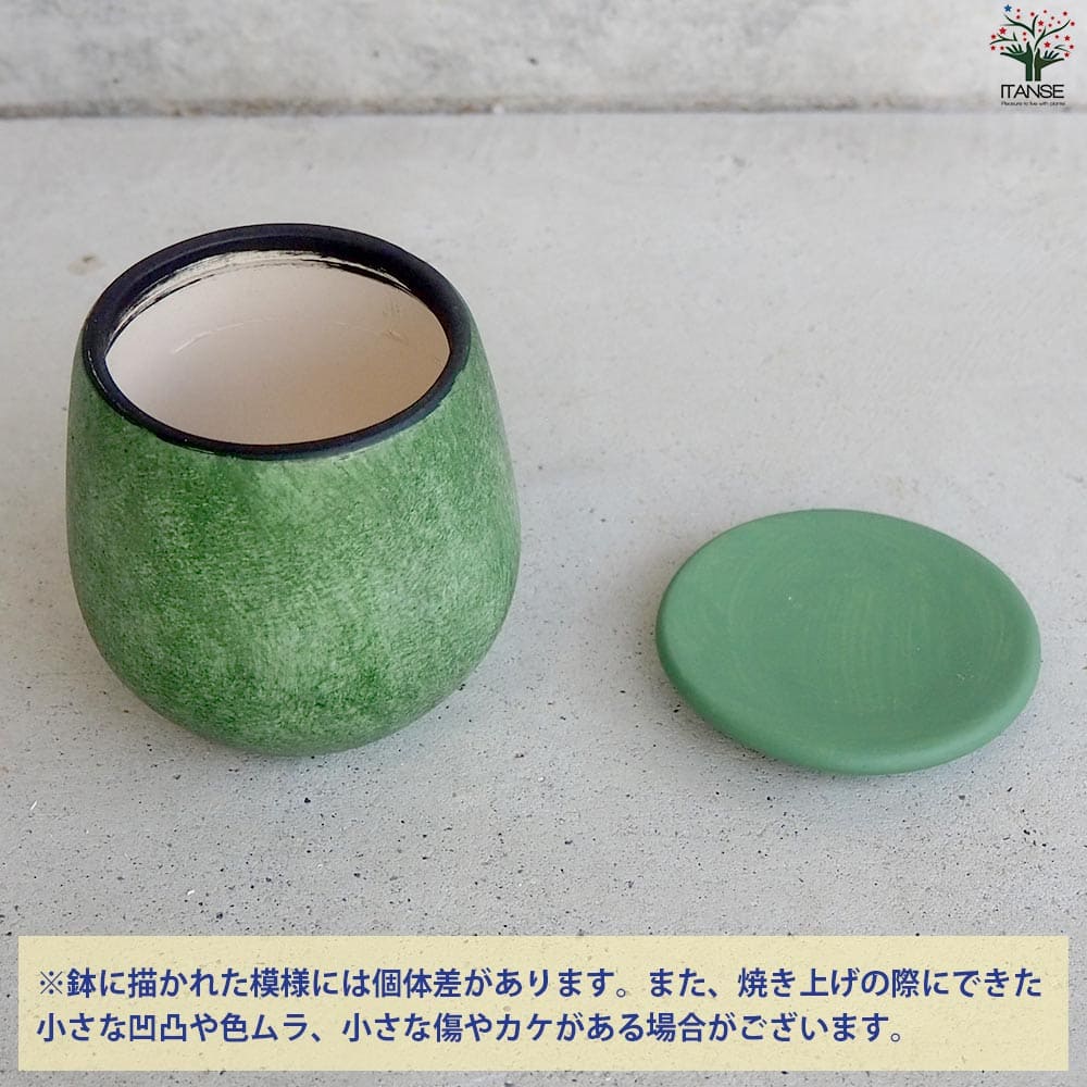 【送料無料】皿付陶器鉢 彩色焼磁 グリーン 資材 8cm 植木鉢 鉢 鉢植え プランター...