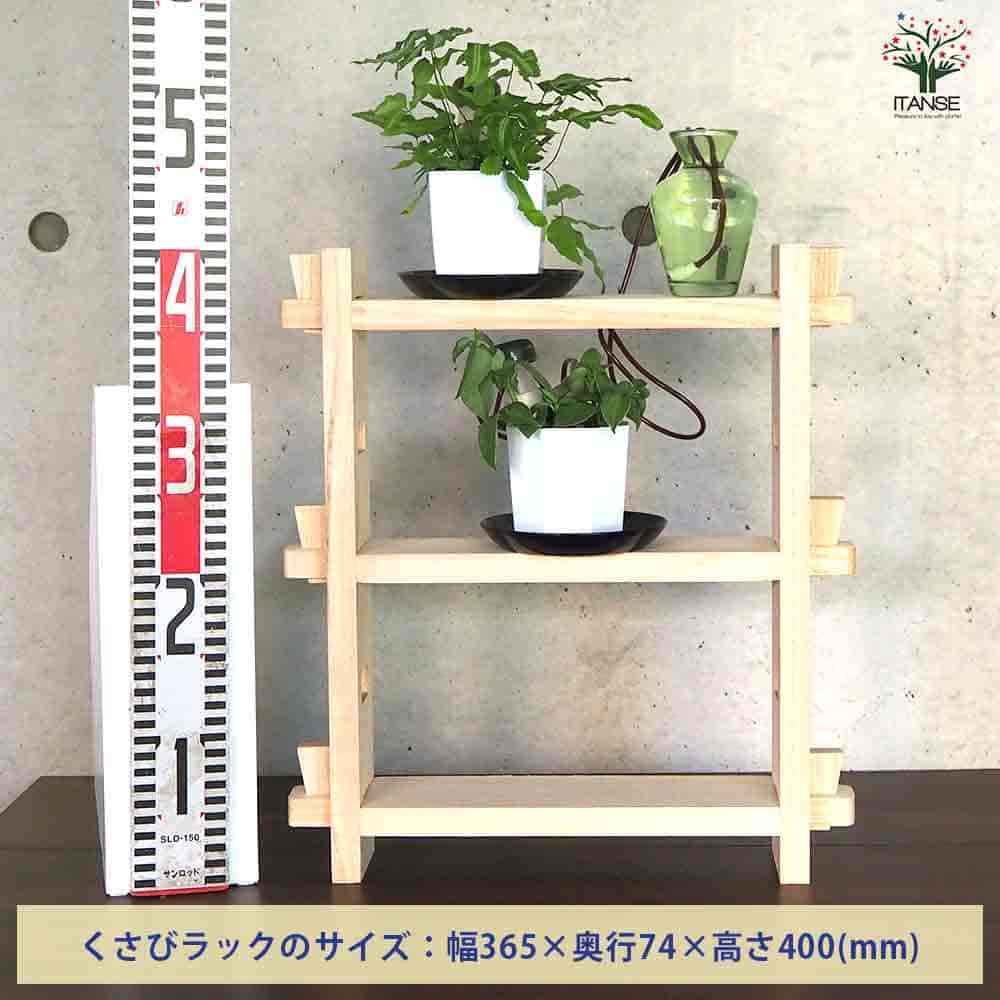 【送料無料】ミニ観葉植物ディスプレイ&生育棚 自動水やり器付き 木製くさびラック...