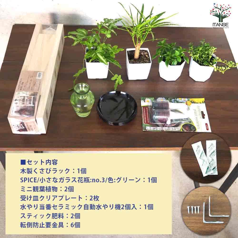 【送料無料】ミニ観葉植物ディスプレイ&生育棚 自動水やり器付き 木製くさびラック...