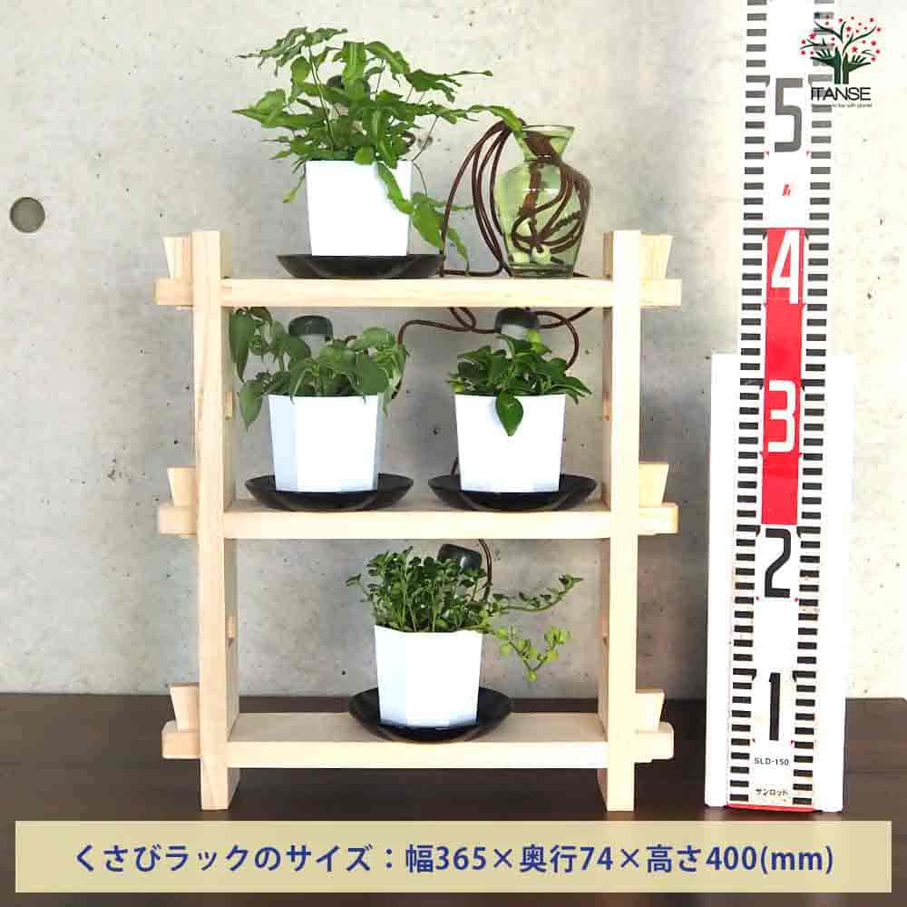 【送料無料】ミニ観葉植物ディスプレイ&生育棚 自動水やり器付き 木製くさびラック...