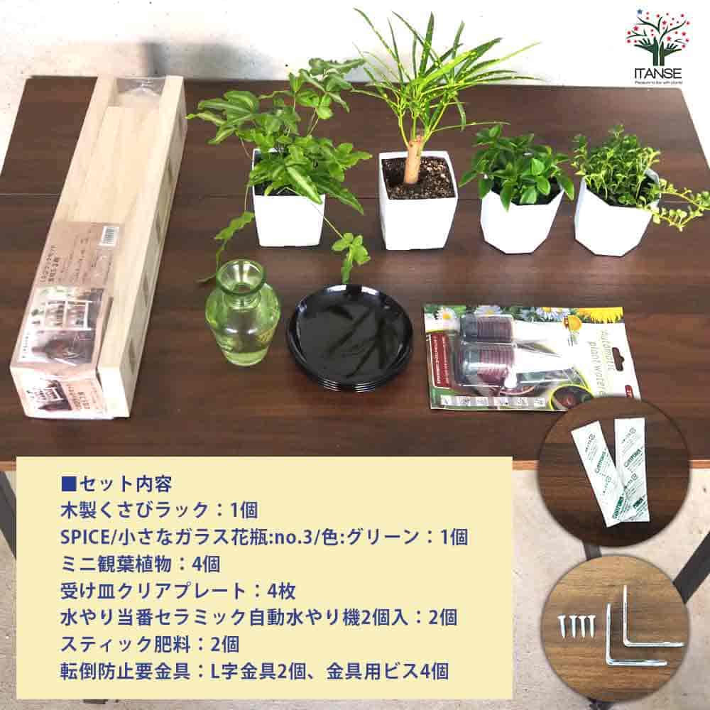 【送料無料】ミニ観葉植物ディスプレイ&生育棚 自動水やり器付き 木製くさびラック...