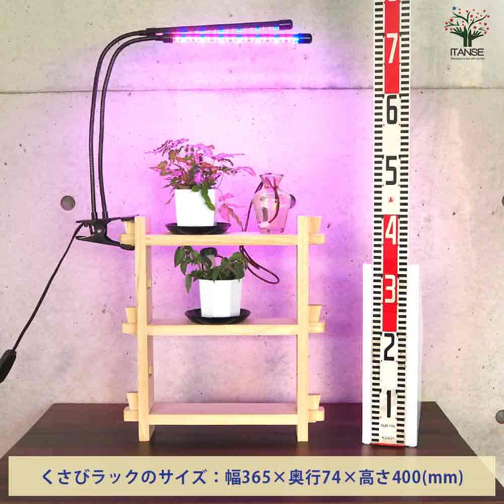 【送料無料】ミニ観葉植物ディスプレイ&生育棚 自動水やり器付き 木製くさびラック...