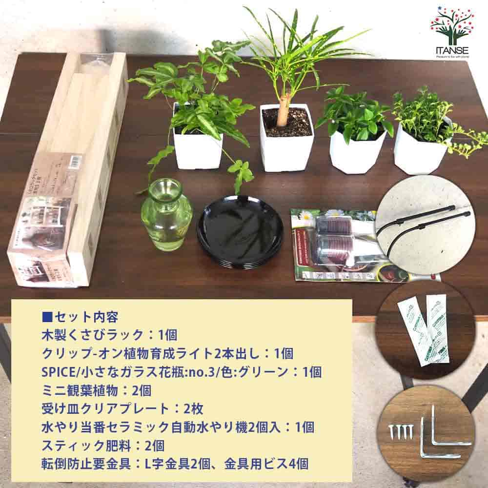 【送料無料】ミニ観葉植物ディスプレイ&生育棚 自動水やり器付き 木製くさびラック...