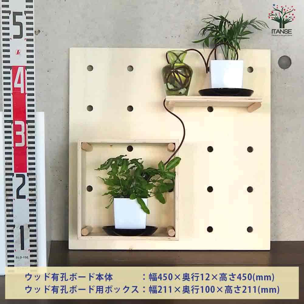 【送料無料】ミニ観葉植物壁面ディスプレイ&ボックス 工具ほぼいらずWBセット 資材...