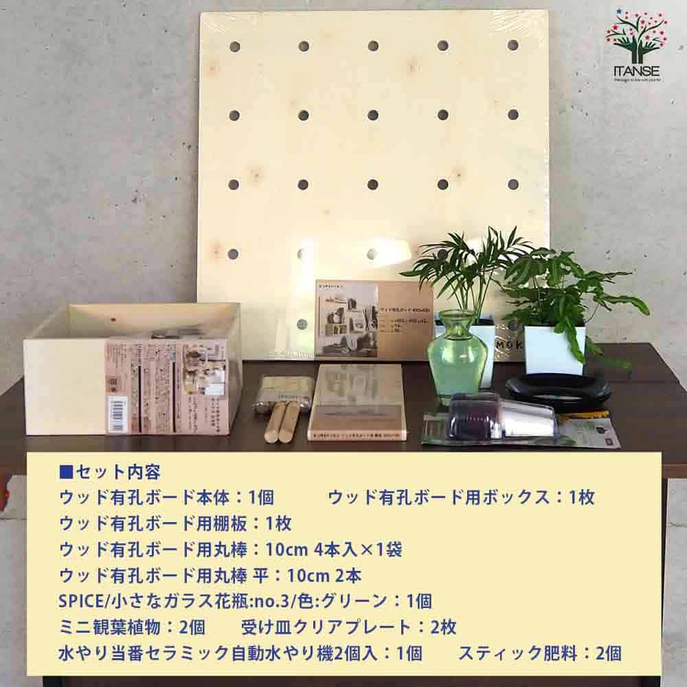 【送料無料】ミニ観葉植物壁面ディスプレイ&ボックス 工具ほぼいらずWBセット 資材...