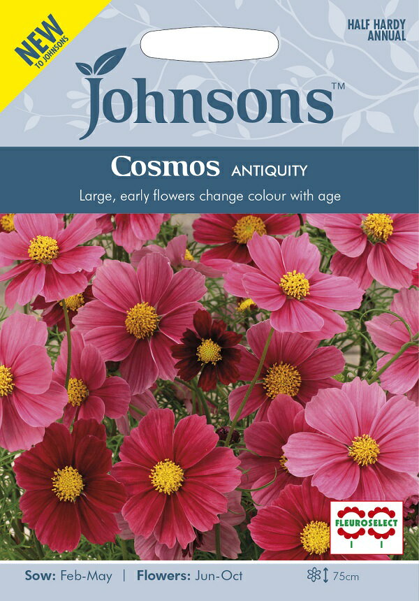 Johnsons Seeds Cosmos ANTIQUITY コスモス アンティクワティ ジョンソンズシード