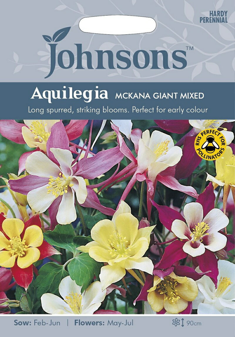 【輸入種子】Johnsons Seeds Aquilegia McKana Giant Mixed アクレイジア（オダマキ）マッカナ ジャイアントミックス ジョンソンズシード