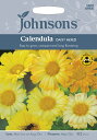 Johnsons Seeds Calendula DAISY MIXED カレンデュラ(きんせんか) デージーミックス ジョンソンズシード