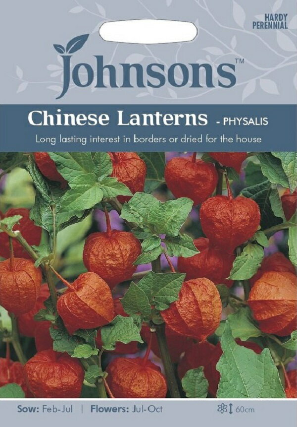 【種子】Johnsons Seeds Chinesse Lanterns PHYSALIS チャイニーズ ランタン サイサリス ジョンソンズシード