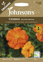 【種子】Johnsons Seeds ORGANIC Cosmos SULPHUR ORANGE オーガニック コスモス サルファー・オレンジ ジョンソンズシード