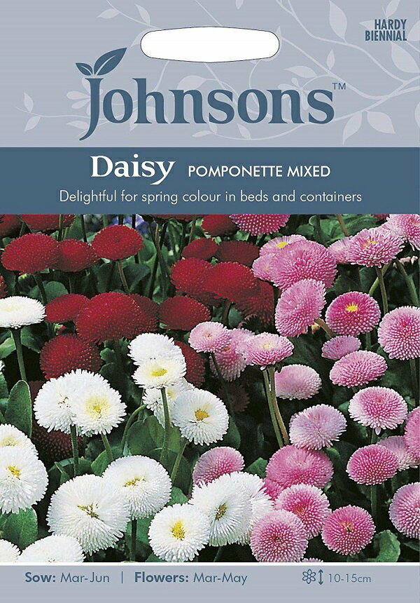 【輸入種子】Johnsons Seeds Daisy POMPONETTE MIXED デージー ポンポネット・ミックス ジョンソンズシード