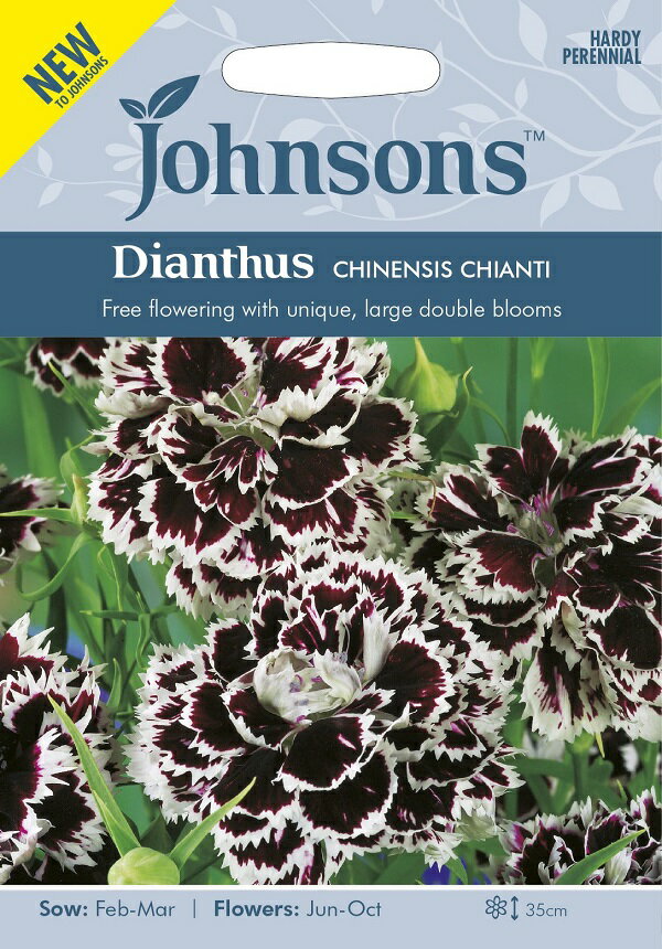 Johnsons Seeds DIANTHUS CHINENSIS CHIANTI ダイアンサス(なでしこ)チャイニエンシス・キャンティ ジョンソンズシード