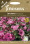 【種子】Johnsons Seeds Organic Lavatera Pink Mallow オーガニック ラヴァテラ ピンク マロウ ジョンソンズシード