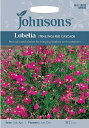 【種子】Johnsons Seeds Lobelia (TRAILING) RED CASCADE ロベリア(トレイリング) レッド・カスケイド ジョンソンズシ...