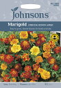 yqzJohnsons Seeds Marigold (FRENCH) BONITA MIXED }[S[h it`j{j[^E~bNX W\YV[h