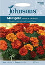 【輸入種子】Johnsons Seeds Marigold ...