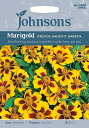 【種子】Johnsons Seeds Marigold (FRENCH) NAUGHTY MARIETTA マリーゴールド （フレンチ）ノーティー・マリエッタ ジョンソンズシード