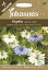 ͢ҡJohnsons Seeds ORGANIC Nigella LOVE IN A MIST ˥å ˥ ֡󡦥ߥ 󥽥󥺥