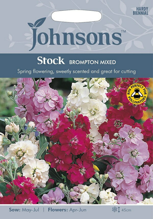 【種子】Johnsons Seeds Stock BROMPTON MIXED ストック ブロンプトン・ミックス ジョンソンズシード
