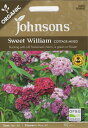 【輸入種子】Johnsons Seeds ORGANIC Sweet William COTTAGE MIXED オーガニック スイート・ウイリアム（なでしこ） コテージ・ミックス ジョンソンズシード