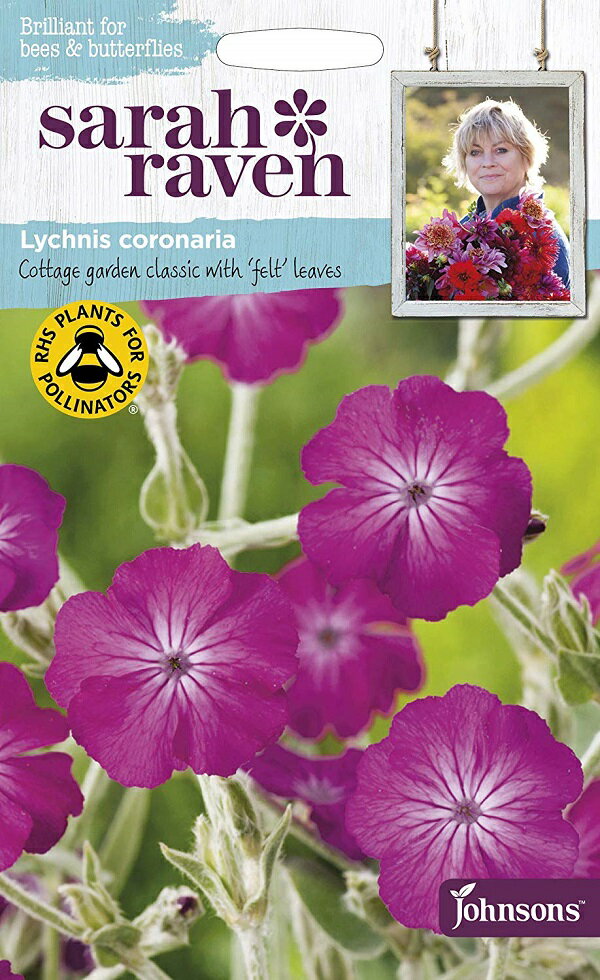 【種子】Johnsons Seeds Sarah Raven Brilliant for Bees & Butterflies Lychnis coronaria サラ・レイブン ビー＆バタフライ リクニス・コロナリア ジョンソンズシードのサムネイル