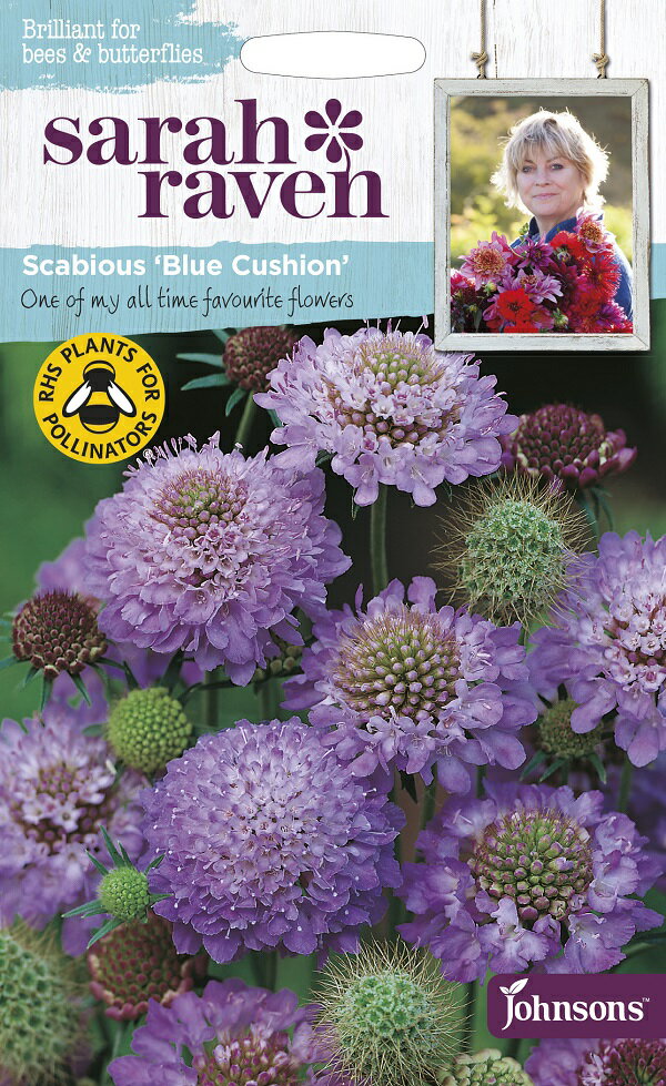 Johnsons Seeds Sarah Raven Brilliant for Bees & Butterflies Scabious Blue Cushion サラ・レイブン ビー＆バタフライ スカビオサ・ブルー・クッション ジョンソンズシード