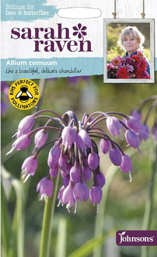 Johnsons Seeds Sarah Raven Brilliant for Bees & Butterflies Allium cernuum サラ・レイブン ビー＆バタフライ アリウム・ケルヌーム ジョンソンズシード