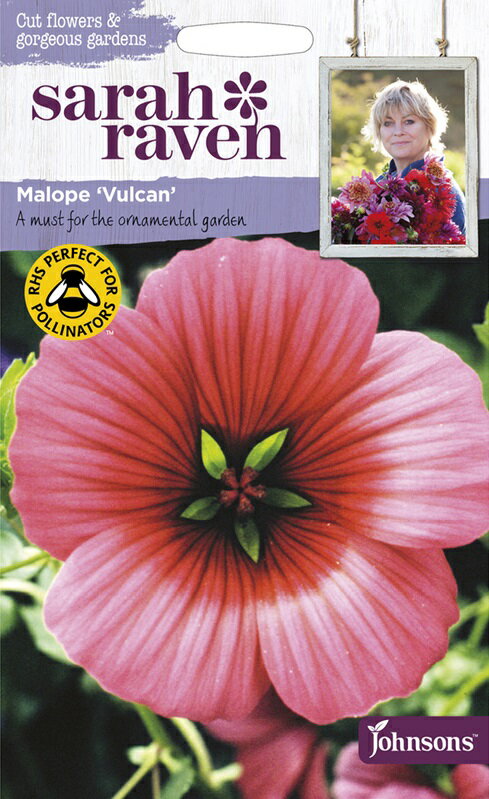 【種子】Johnsons Seeds Sarah Raven Cut flowers & gorgeous gardens Malope Vulcan サラ・レイブン・カットフラワーズ マローペ・バルカン ジョンソンズシード