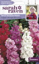 【種子】Johnsons Seeds Sarah Raven Cut flowers gorgeous gardens Stock Excelsior Mixed サラ レイブン カットフラワーズ ストック エクセルシオール ミックス ジョンソンズシード