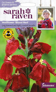 【輸入種子】Johnsons Seeds Sarah Raven Cut flowers & gorgeous gardens Wallflower Blood Red サラ・レイブン カットフラワーズ ウォールフラワー ブラッド・レッド ジョンソンズシード