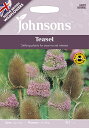 【種子】Johnsons Seeds NATIVE BRITISH WILDFLOWERS Teasel ネイティブブリティッシュ ワイルドフラワーズ ティーゼル ジョンソンズシード