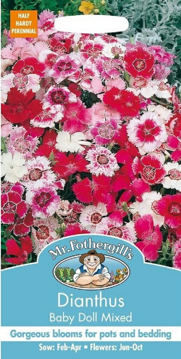 【種子】Mr.Fothergill s Seeds Dianthus Baby Doll Mixed ダイアンサス なでしこ ベビー・ドール・ミックス ミスター・フォザーギルズシード