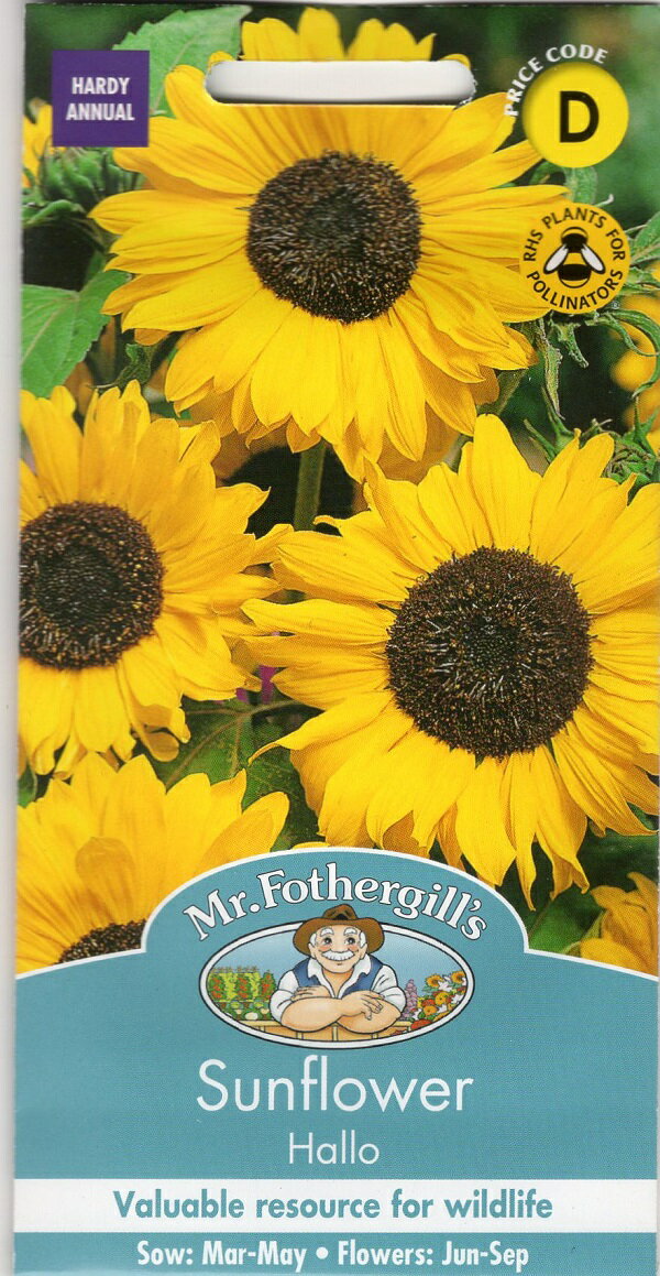 Mr.Fothergill's Seeds Sunflower Hallo サンフラワー（ひまわり）・ハロー ミスター・フォザーギルズシード