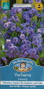 yqzMr.Fothergill's Seeds Verbena Intensity o[xiECeVeB ~X^[EtHU[MYV[h