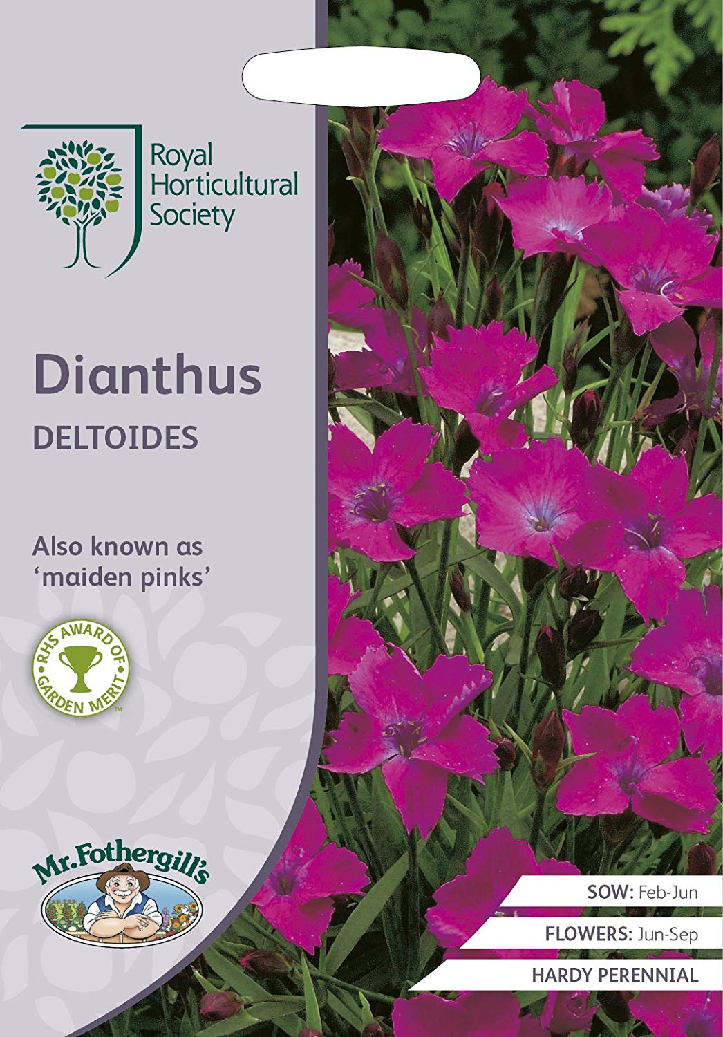 Mr.Fothergill's Seeds Royal Horticultural Society Dianthus DELTOIDES ダイアンサス デルトイデス ミスター・フォザーギルズシード