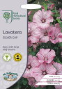 Mr.Fothergill's Seeds Royal Horticultural Society Lavatera SILVER CUP ラヴァテラ シルバーカップ ミスター・フォザーギルズシード