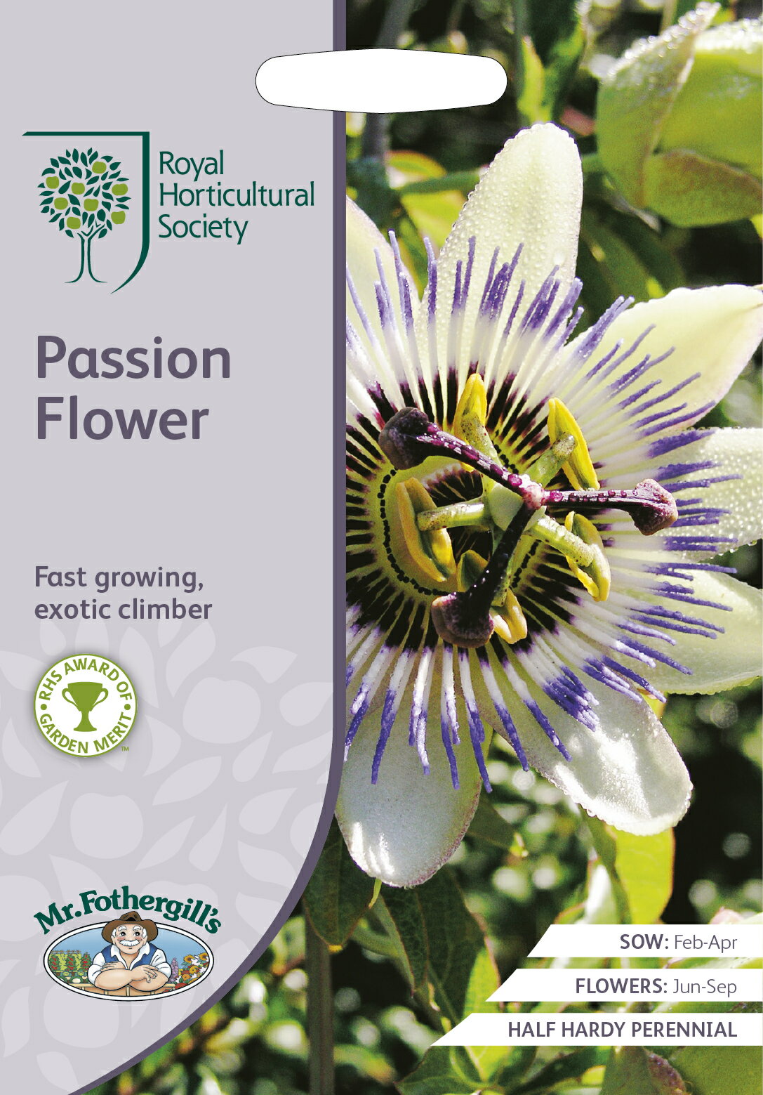 Mr.Fothergill's Seeds Royal Horticultural Society Passion Flower RHS パッションフラワー ミスター・フォザーギルズシード