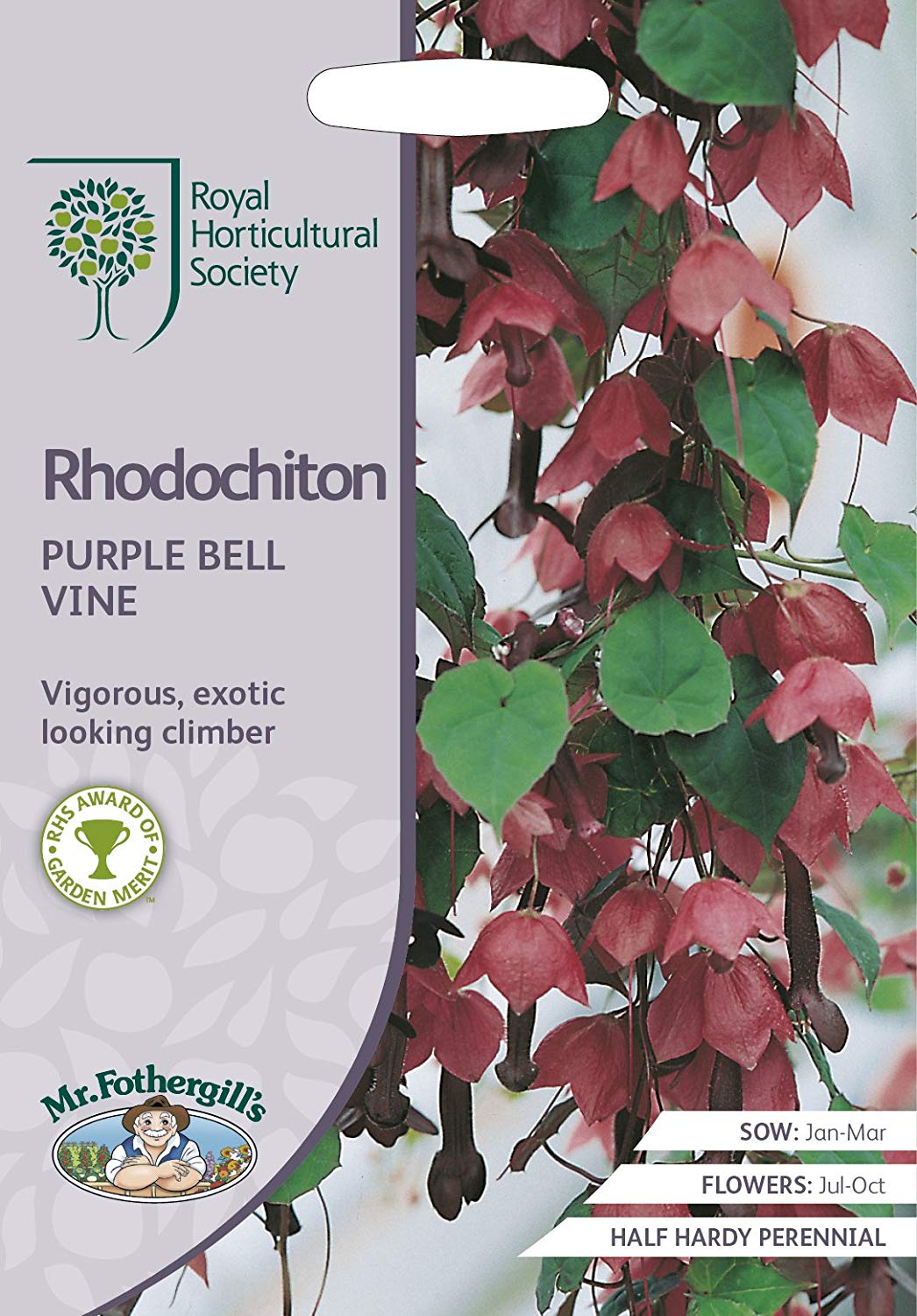 【種子】Mr.Fothergill s Seeds Royal Horticultural Society Rhodochiton PURPLE BELL VINE ロドキトン パープル ベル ヴァイン ミスター・フォザーギルズシード