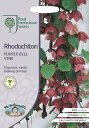 【種子】Mr.Fothergill 039 s Seeds Royal Horticultural Society Rhodochiton PURPLE BELL VINE ロドキトン パープル ベル ヴァイン ミスター フォザーギルズシード