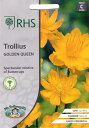 yqzMr.Fothergill's Seeds Royal Horticultural Society Trollius GOLDEN QUEEN RHS gEX S[fENC[ ~X^[EtHU[MYV[h