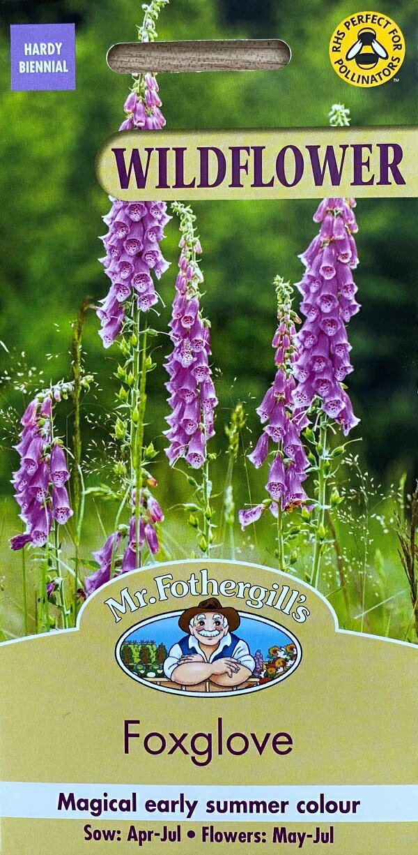 【種子】Mr.Fothergill 039 s Seeds WILDFLOWER Foxglove Digitalis ワイルドフラワー フォックスグローブ（ジギタリス）ミスター フォザーギルズシード