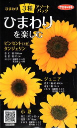 【種子】ひまわり 3種アソートパック サカタのタネ
