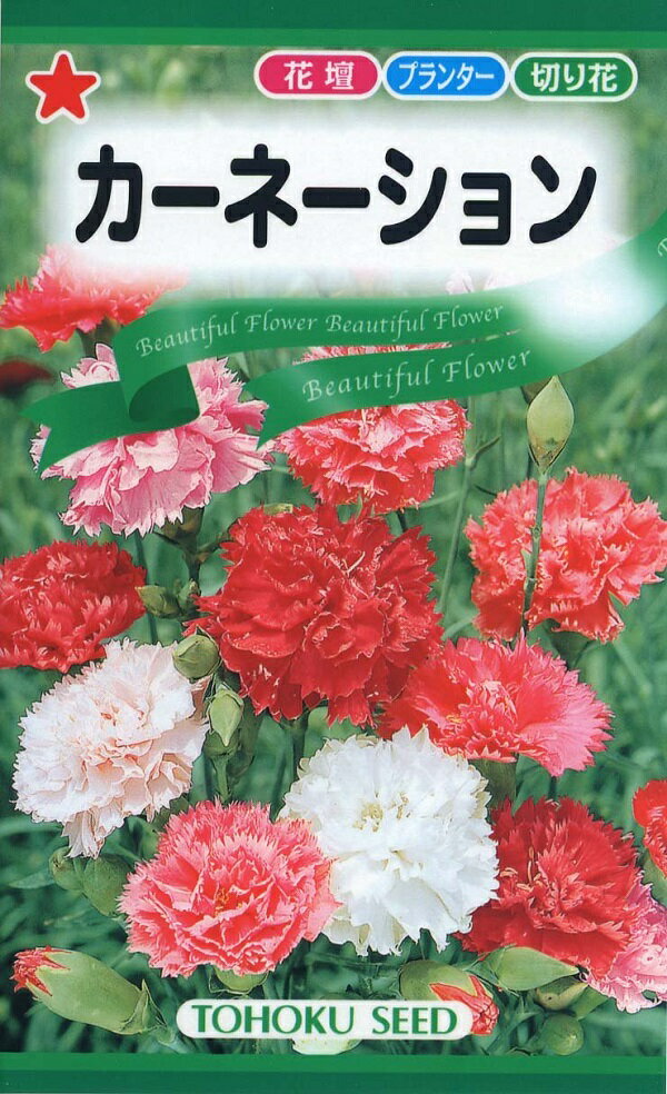 5月に植える花｜ベランダを花でおしゃれに！初夏からプランターで育つ種や苗のおすすめは？