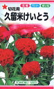 【種子】切花用 久留米けいとう トーホクのタネ