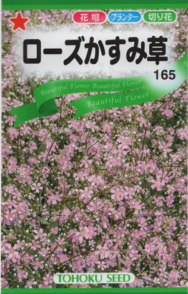 ds-ozk-gypsophila-bundle-white